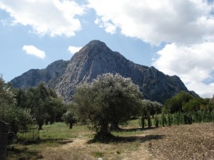 Habitat - Monte Bulgheria